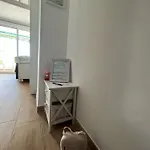 El Piset Appartement *